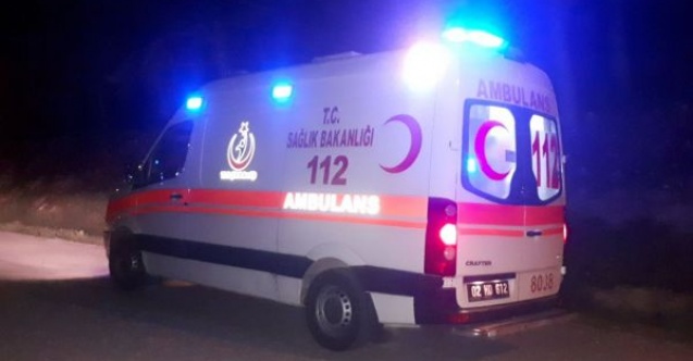 Ormanda yürüyüş yapan genç hastanelik oldu