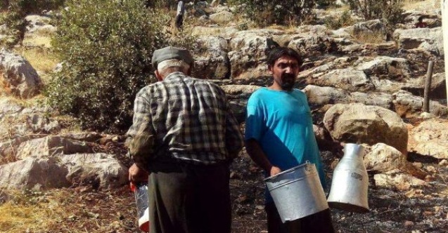 Otluk yangını ormana sıçramadan söndürüldü
