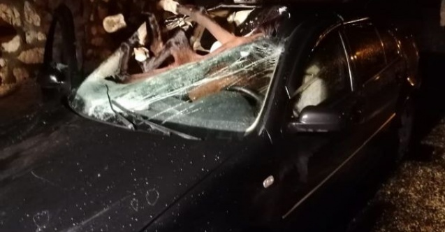 Otomobilin çarptığı at, aracın içine girdi