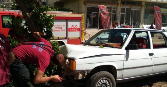 Refüje çıkan otomobil ağaca çarptı