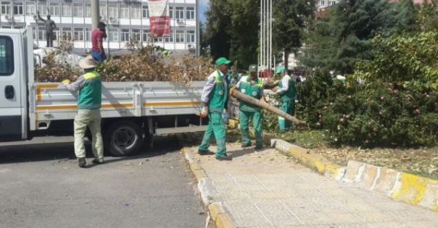 Rüzgarın devirdiği dut ağacı kesilerek kaldırıldı