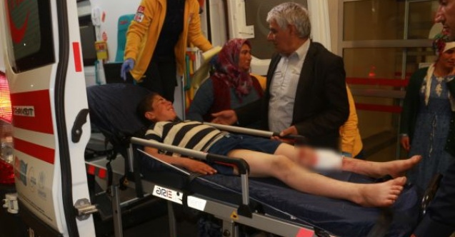 Üzerinden at arabası geçti
