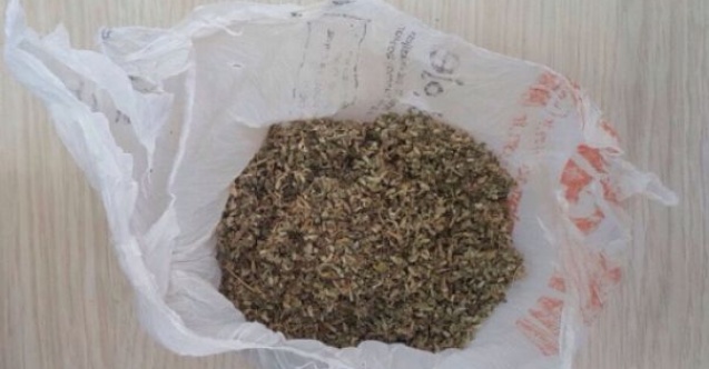 Üzerlerinde bonzai çıkan şahıslar gözaltına alındı