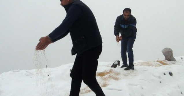 Yabani hayvanlar unutulmadı 