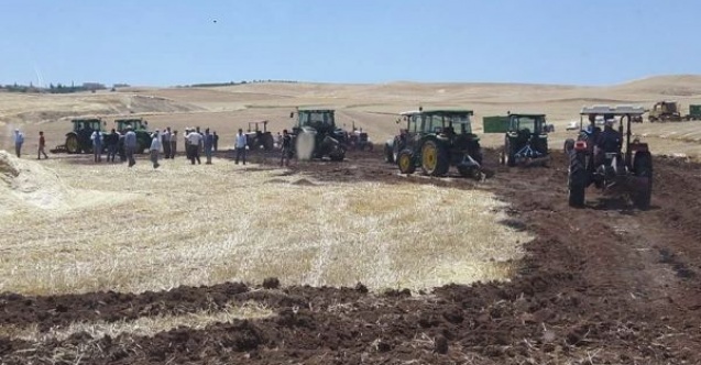 Yangında 50 dönümlük buğday ve arpa kül oldu