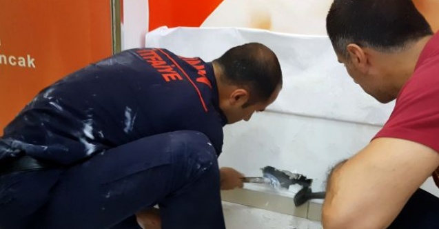 Yavru kedi duvar kırılarak kurtarıldı