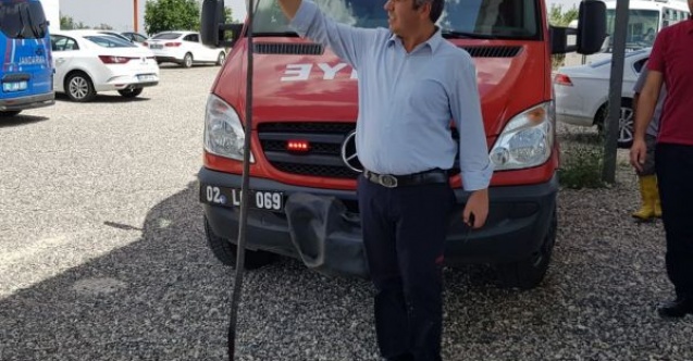 Yılanı itfaiye ekipleri etkisiz hale getirdi