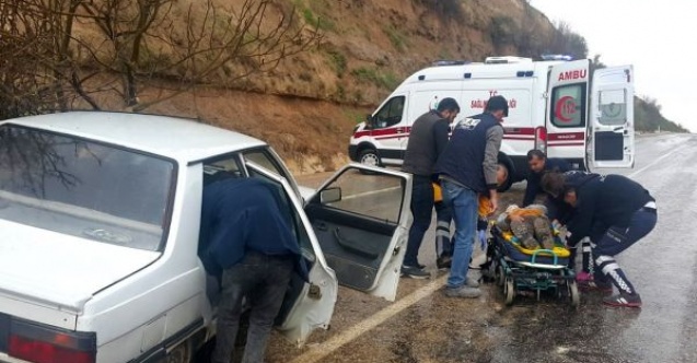Yola düşen ağaç kazaya neden oldu