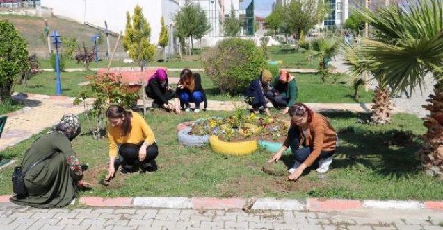  Yurt bahçelerine gül fidanları dikildi