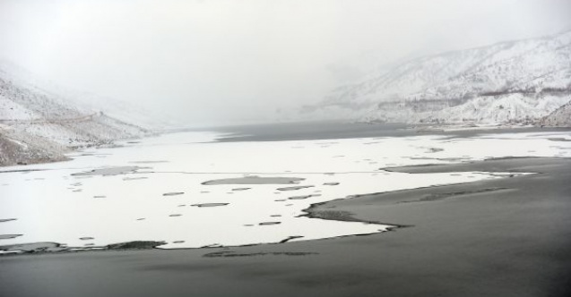Yüzen adalar buz kesti